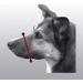 Trixie 19262 Black Dog Muzzle with Mesh Insert - Polyester S-M | 1 Piece for Comfortable & Safe Training - Buy Online on SooperMarket.com