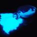 Blue Glow in The Dark Powder 30g for Resin, Epoxy, Paint, Acrylic, Slime & Glue - Buy Online on SooperMarket.com