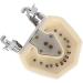 LBYLYH Dental Typodont Model - Standard with 28 Teeth & Gums for Teaching & Practice | Ideal for Dental Students - Buy Online on SooperMarket.com