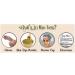 Jiva USDA Organic 100% Pure Henna Powder 100 Gram - Ecocert Certified - Buy Online on SooperMarket.com