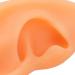 Ear Model ANGGREK 2 Pieces Ear Modeling Tools Hearing Amplifier Dispalying Assistance Display Ear Model Ear Wraps for Teaching Replacement - Buy Online on SooperMarket.com