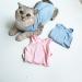 Cat Professional Surgical Recovery Suit Cat Clothes for Abdominal Wounds or Skin Diseases (M Blue) 1.36 kg (Pack of 1) Blue - Buy Online on SooperMarket.com