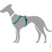 HUNTER Vario Rapid Harness 48-70 cm - Adjustable Petrol for Stylish & Comfortable Pet Travel | International Shipping Available - Buy Online on SooperMarket.com