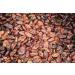 Pitted Dates 1Kg Natural Raw Dried No Added Sugar Whole Sun Dry Sweet Fruit Dehydrated Unsweetened - Bulk Ready to Eat - Edible For Human - Snack Baking Cooking (Packaging May Vary) PURIMA 1.0 Kilograms - Buy Online on SooperMarket.com