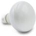 Terra Exotica 75W Heat Spot Bulb for Reptiles - 3 Pack Terrarium Lighting - Optimal Heat for Reptile Habitats - 25W 40W 60W 100W 150W Options Available - Buy Online on SooperMarket.com