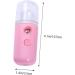 CANIGHT 2pcs Skin Moistener Face Humidifier Mini Portable Humidifier Hand Humidifier Air Diffuser Mist Spray - Buy Online on SooperMarket.com