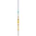 Ketone Urine Test Strips - 100pcs for Quick & Accurate Ketosis Measurement | Professional Urinalysis Test for Monitoring Ketones Levels - Buy Online on SooperMarket.com