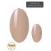 UV Gel Foils Manifix Starter Set Noble Nude | DIY Gel Nail Kit | Swiss Beauty Innovation Award 2021 | Vegan Eco-Friendly Cruelty-Free - Buy Online on SooperMarket.com