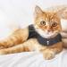 Thundershirt for Cats Large - Buy Online on SooperMarket.com