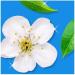 Flash Sparkling Bathroom Antibacterial Cleaning Spray Wipe-Done 800ml White Blossom Fragrance + for You: Cleaning Cloth + Organza Small Bag - Buy Online on SooperMarket.com