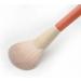 Buy DFHBFG 12 Piece Wood Handle Makeup Brush Set Perfect for Concealer Eye Shadow Blush & Powder | International Shipping Available - Buy Online on SooperMarket.com