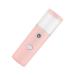 Healeved Facial Humidifier Mini Humidifier Beauty Spray Water Meter Facial Mist Sprayer Abs