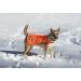 SafetyPUP XD - Reflective Dog Vest | Hi-Visibility Blaze Orange Vest for Medium Dogs | Protect Your Pup from Accidents - Buy Online on SooperMarket.com