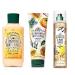 Bath and Body Works Clementine & Mint Leaves Gift Set - Body Lotion - Fine Fragrance Mist and Ultra Shea Body Cream