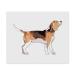 2 x Microfiber Cleaning Cloths "Beagle Dog" (LC00025072)
