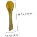 MAGICLULU 1 Decor Natural Wheat Rural Wheat Dried Wheat Simulation Wheat Dried Flowers Bouquet - Buy Online on SooperMarket.com