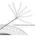 5LB-280LB Stainless Steel Wire Leader Nylon Coated Fishing Leader - 32.8ft, 100LB, 7 Strands, 10pcs Crimp Sleeves - Buy Online on SooperMarket.com