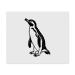 x Microfiber Cleaning Cloths "African Penguin" (LC00026431)