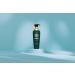 Daeng Gi Meo Ri Houttuynia Cordata Shampoo for Hair Loss & Oily Hair - K-Beauty Caffeine-Infused Scalp Cleanser | 13.5 fl oz International Shipping Available - Buy Online on SooperMarket.com