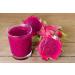 DRAGON FRUIT POWDER (Red) PINK PITAYA - 400G - Buy Online on SooperMarket.com