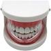 FEDBNET Sport Mouth Guards Clear Mouthguards Transparent Boxing Silicone Braces Dental Mouthguard Teeth Bruxism Grinding Eliminating Tightening Product - Buy Online on SooperMarket.com