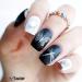 Alexnailart Nail Art Stamping Templates - Star Noon Butterfly Design (FA014) - Buy Online on SooperMarket.com
