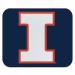 University of Illinois Fighting Illini Logo Low Profile Thin Mouse Pad Mousepad