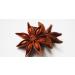 Nim's Star Anise Whole | Badiyan | Star Anise (100g/3.5oz) Gluten Free | Non GMO Whole Star Anise Pods | Dried Anise Star Spice | Premium Quality and Aroma Great for Baking Tea and Cocktails 100g - Buy Online on SooperMarket.com