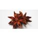 Star Anise Whole Premium Quality (50g)