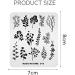 KADS Stamping Plates Leaf Nature Nail Art Image Plate (NA015) | Nail Design Tools - Buy Online on SooperMarket.com