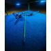 Muzzy Classic Fiberglass Bowfishing Fish Arrow - GREEN Carp Point - Buy Online on SooperMarket.com