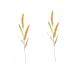 MAGICLULU 2pcs Simulated Ears of Corn Decoration for Home Artificial Wheat Stalks Wheat Ears Dried Flowers Faux Plants Fake Plant Decor Fake Ear of Wheat Pu Manual Fake Grass Goldenx2pcs 12X75CMx2pcs