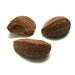 Buy Premium Raw Brazil Nuts In Shell - 10 lbs | Keto Vegan Non-GMO | High-Protein Snack | Convenient Packaging by Presto Sales - Buy Online on SooperMarket.com