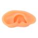 Ear Display Mould Waterproof Silicone Educational Professional Ear Model for Hospital(Right) - Buy Online on SooperMarket.com