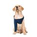 MPS Medical Pet Shirt - TAZ Single Front Leg Sleeve for Dog Small Blue Small