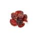 Yupik Apple Juice Infused Dried Cranberries 2.2 lb - Pack of 1 - Buy Online on SooperMarket.com