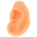Soft Lifelike Silicone Flexible Left Ear Display Mould for Hospitals - Buy Online on SooperMarket.com