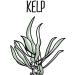 The Missing Link Pet Kelp Limited Ingredient Superfood Powder Supplement for Dogs - Probiotic - 227g - Buy Online on SooperMarket.com