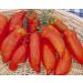 30 semillas de S per de Pasta Italiana - Pasta de tomates