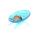 Silent Hamster Wheel Hamster Flying Saucer Plastic Running Wheel Playing Toy Hamster Running Sports Wheel for Gerbils Squirrels Guinea Pig Syrian Small Animals Pets