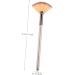 FOMIYES Blush Makeup Brush Highlighter Handle Makeup Brush Fan Ladies Suits Professional Makeup Bling Makeup Makeup Fan Make up Fan Face Lip Gloss Bamboo Miss Size 1 As Shown - Buy Online on SooperMarket.com