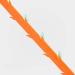 BWD 1x Drain Unblocker Tool Hair Remover Bend Loop Shape Snake Catcher Cleaner - Buy Online on SooperMarket.com