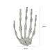 Halloween Skeleton Hand Hair Clips - Horror Bone Claw Hairpins for Women/Girls, Cosplay Costume Accessories - Buy Online on SooperMarket.com