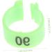 Beavorty 300 Pcs Pigeon Anklet Where Labels Pet Chicken Bands Birds Supplies Bird Drinker Ornamental Pigeon 1X1X0.8CMx3pcs Greenx3pcs - Buy Online on SooperMarket.com