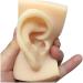Silicone Ear Template - 1 Pair Silicone Ear Acupuncture Practical Model - Simulation Artificial Earmold Human Flexible Ear for Acupuncture - Buy Online on SooperMarket.com