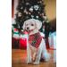 Lionheart Glory Dog Haller Washable Soft Cotton Christmas Neckerchief for Large Dogs | Adjustable Green & Red Kerchief | Perfect Holiday Accessory (1 Pack) - Buy Online on SooperMarket.com
