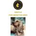 Best Hypoallergenic Shampoo for Dogs & Cats | Gentle Care Anti-Itch Shiny Coat for All Hair Types - Buy Online on SooperMarket.com