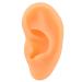 Ear Display Mould Waterproof Silicone Educational Professional Ear Model for Hospital(Right) - Buy Online on SooperMarket.com