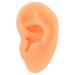 Rubber Fake Ear Model for Jewelry Display and Piercing Practice (Right Ear) - Buy Online on SooperMarket.com