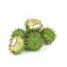 Castor Wax - Hydrogenated Castor Oil for Lotions, Balms, and Makeup - 1lb/16oz - Buy Online on SooperMarket.com